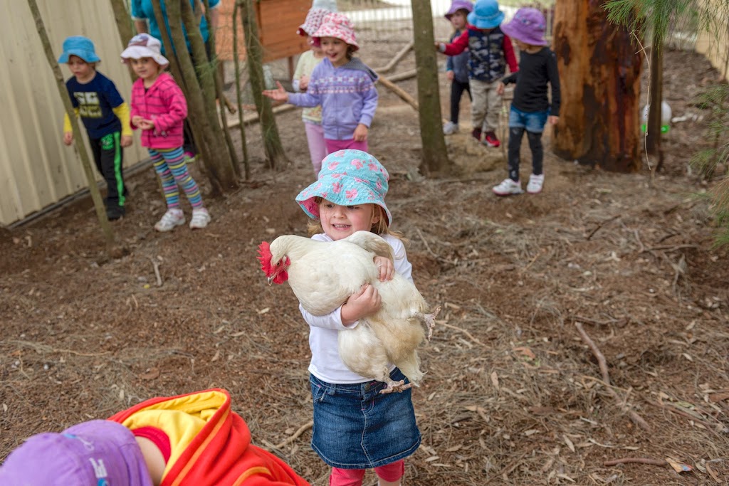 Goodstart Early Learning Forest Lake - Centennial Way | school | 15 Centennial Way, Forest Lake QLD 4078, Australia | 1800222543 OR +61 1800 222 543