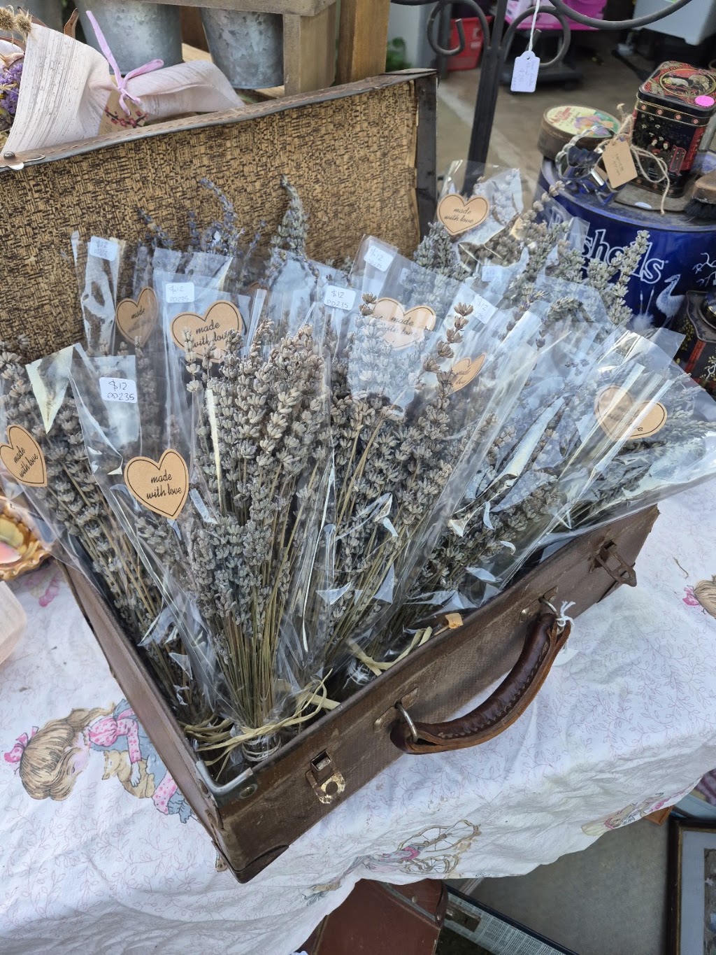 Dragonfly Designs flower cart & plant stall | 64 Mayne St, Gulgong NSW 2852, Australia | Phone: 0401 381 918