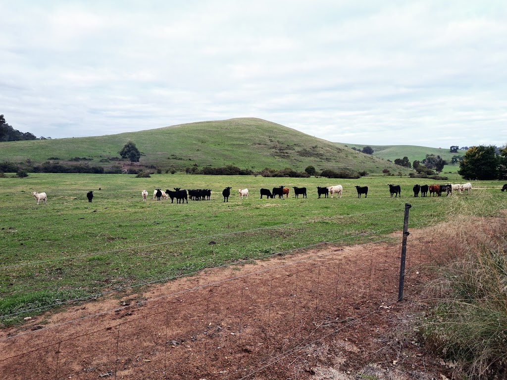 Old Thomson Brook Church | 113 Thomson Brook Rd, Thomson Brook WA 6239, Australia | Phone: 0428 101 263