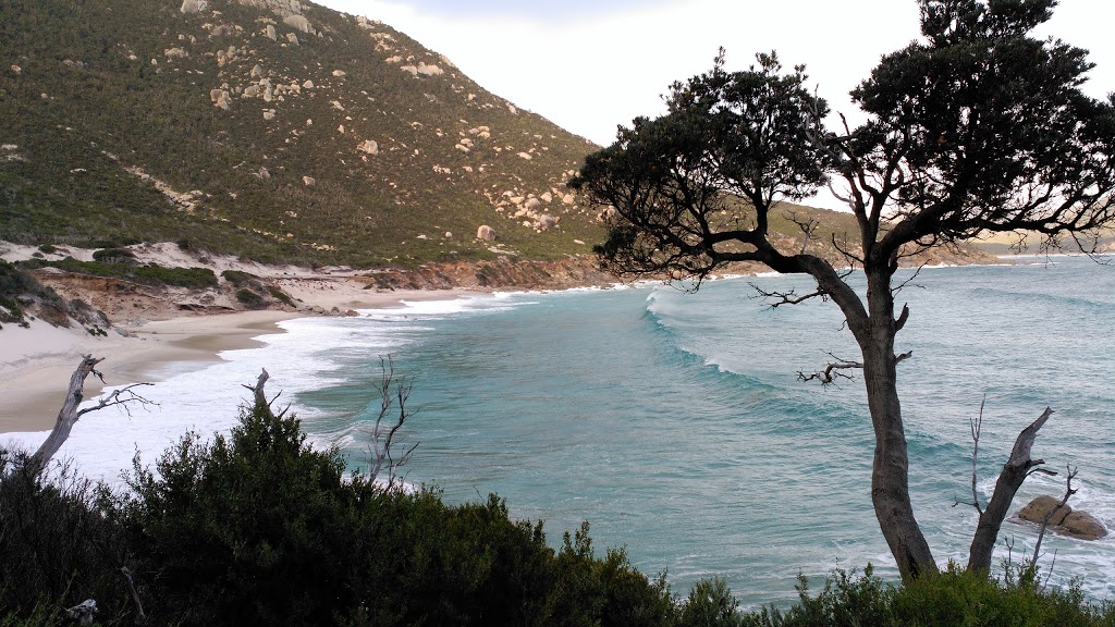 Wilsons Promontory National Park | park | Wilsons Promontory VIC 3960, Australia | 131963 OR +61 131963