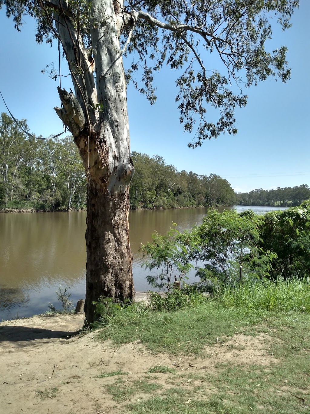 Owanyilla Riverside park | park | 164 Old Hwy Access, Owanyilla QLD 4650, Australia