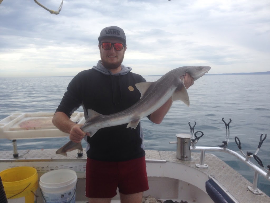 Queenscliff Fishing Charters and Scenic Tours Port Phillip Bay. | Queenscliff Harbour, Larkin Parade, Queenscliff VIC 3225, Australia | Phone: 0458 504 058