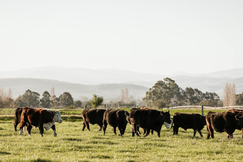 Shaws Quality Meats | 37 Tyers St, Stratford VIC 3862, Australia | Phone: (03) 5145 6331