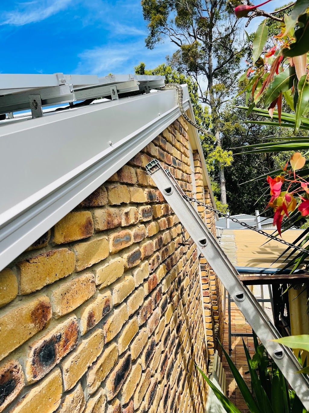 Berserker Gutters |  | 1 Walnut St, Elanora QLD 4221, Australia | 0401000191 OR +61 401 000 191