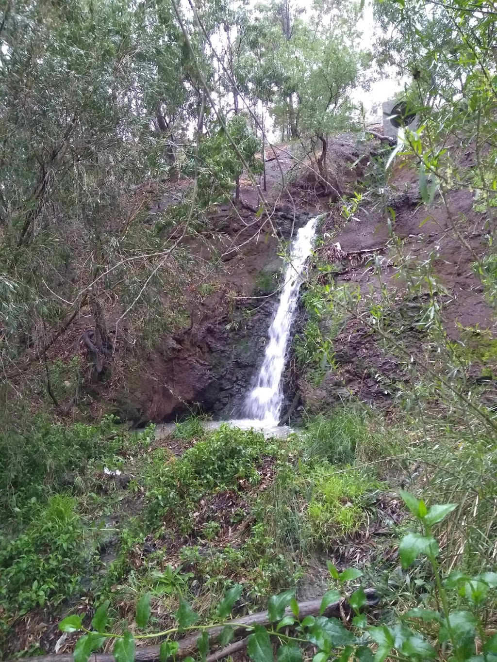 Darebin Creek Forest Park | Liberty Parade, Heidelberg West VIC 3081, Australia | Phone: (03) 9490 4222