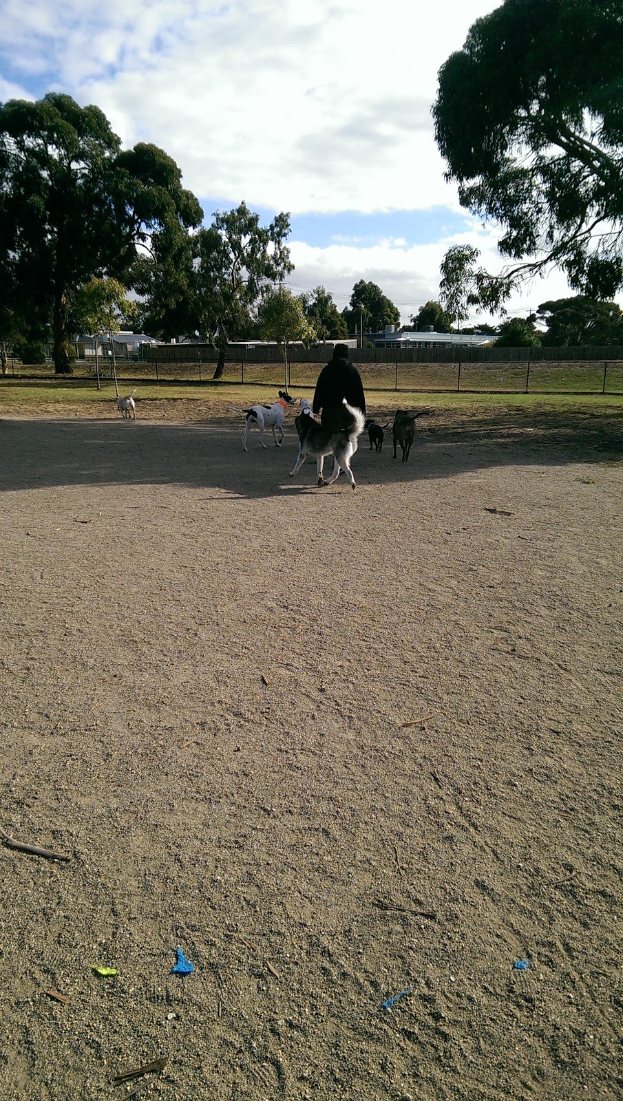 Dog Park | park | 6 Johns St, Corio VIC 3214, Australia