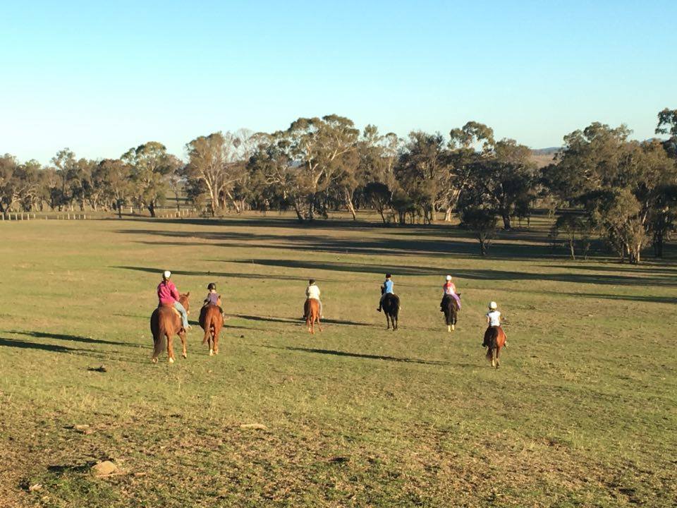 Harlow Park Horse Riding | 318 Gostwyck Rd, Uralla NSW 2358, Australia | Phone: (02) 6778 4631