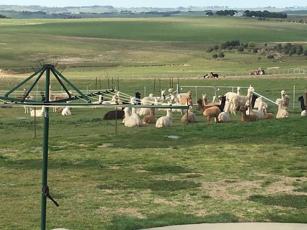 Incamon Alpaca Stud |  | 3150 Golspie Rd, Laggan NSW 2583, Australia | 0418972233 OR +61 418 972 233