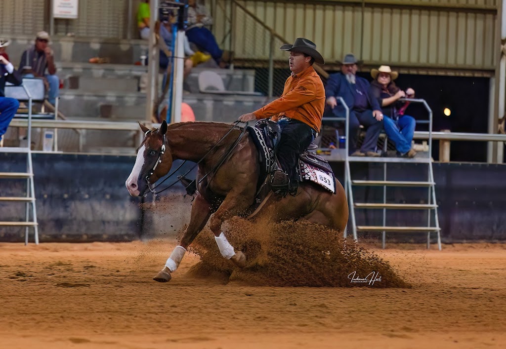 FHT Equine | 26 McNairn Rd, Crows Nest QLD 4355, Australia | Phone: 0402 581 423