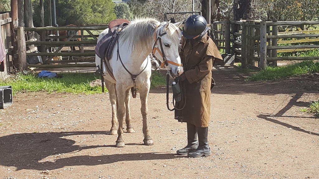 Watsons Mountain Country Trail Rides | tourist attraction | 296 Three Chain Rd, Boorolite VIC 3723, Australia | 0357773552 OR +61 3 5777 3552