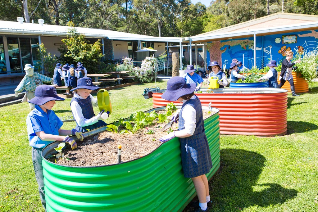 St James Primary School | school | 30 Vista Parade, Kotara South NSW 2289, Australia | 0249522414 OR +61 2 4952 2414