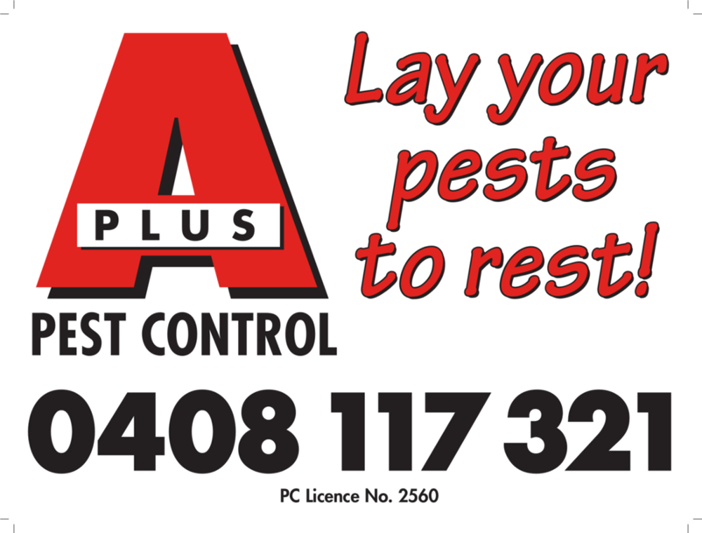 A-Plus Pest Control | home goods store | 65 School St, Kincumber NSW 2251, Australia | 0408117321 OR +61 408 117 321