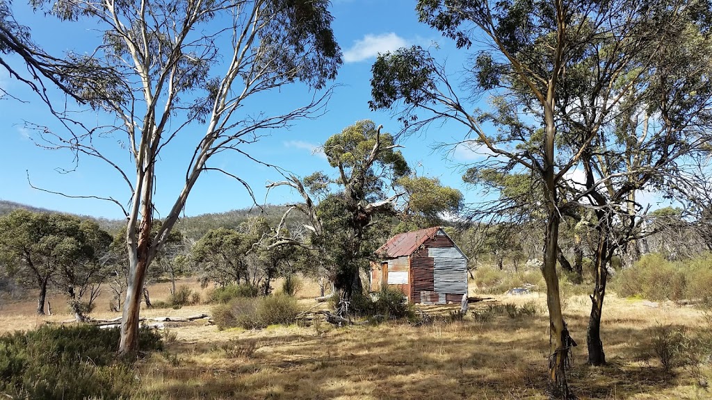 Millers Hut Campground | campground | Long Plain NSW 2629, Australia