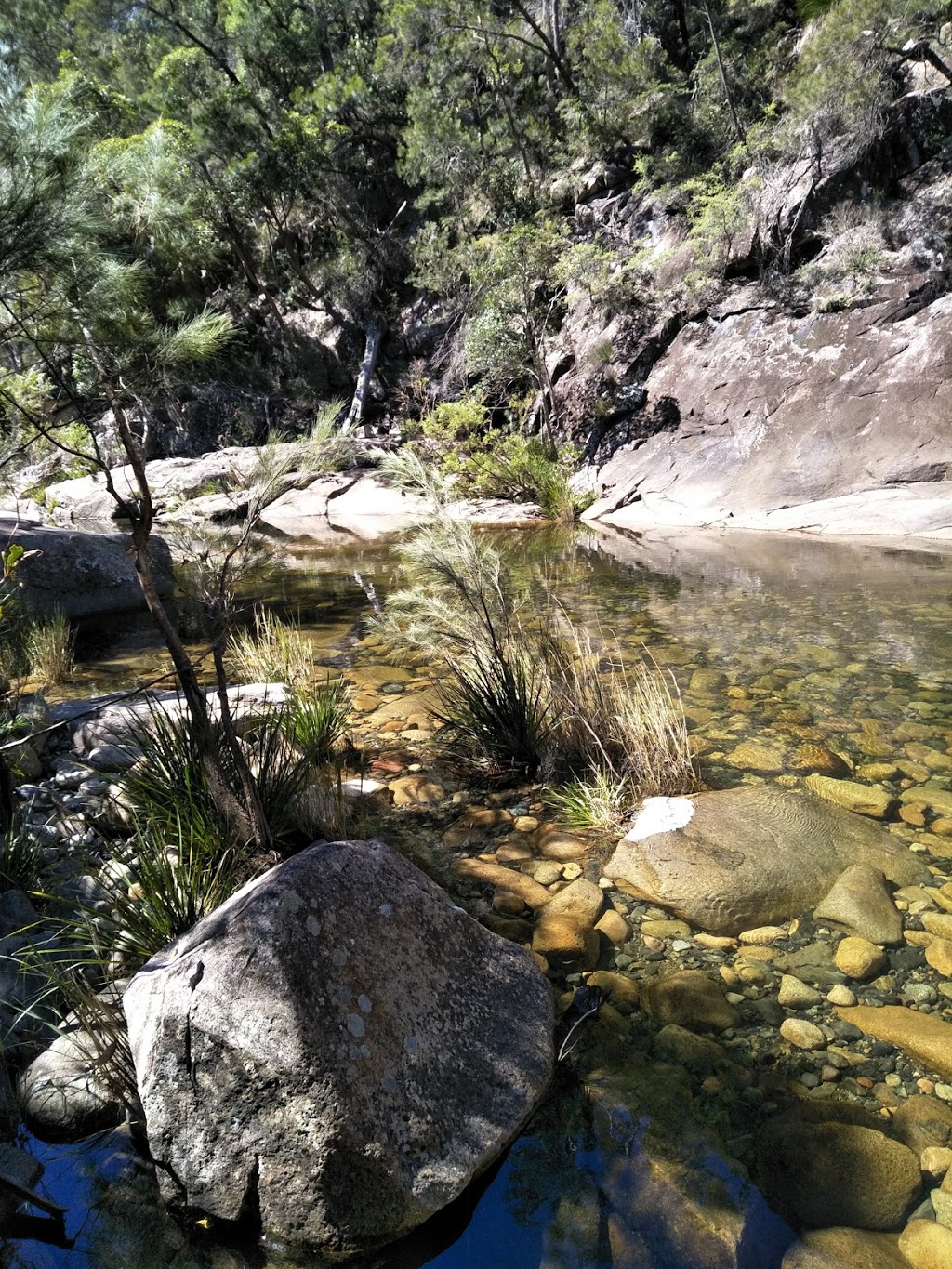 The Bluff Campground | Cobrabald Rd, Bril Bril NSW 2441, Australia