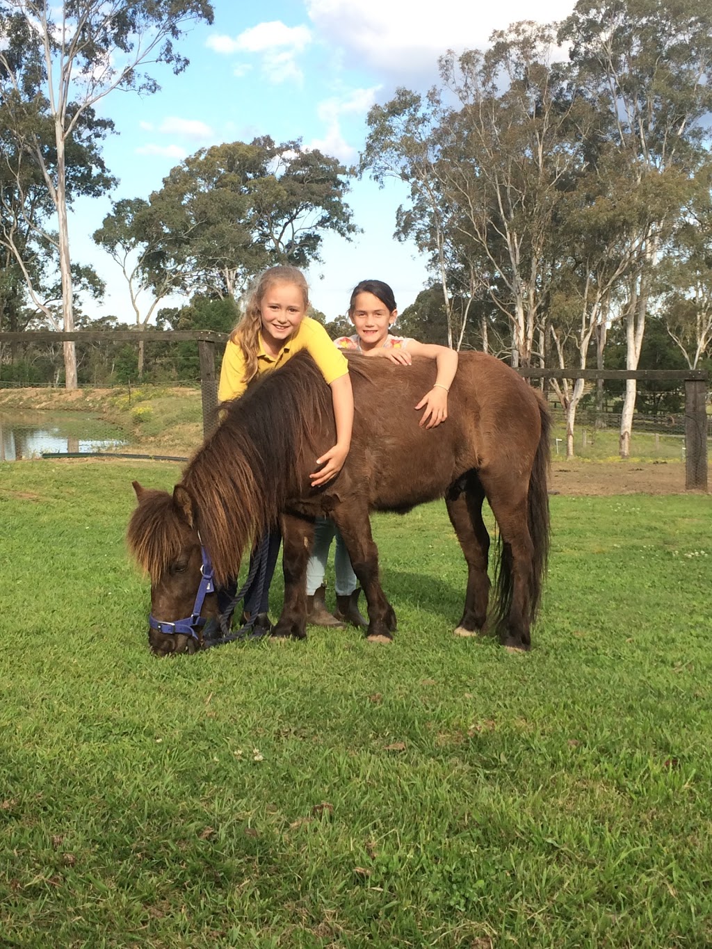 Tic Toc Equestrian | 144A Hibberts Ln, Freemans Reach NSW 2756, Australia | Phone: 0437 300 059