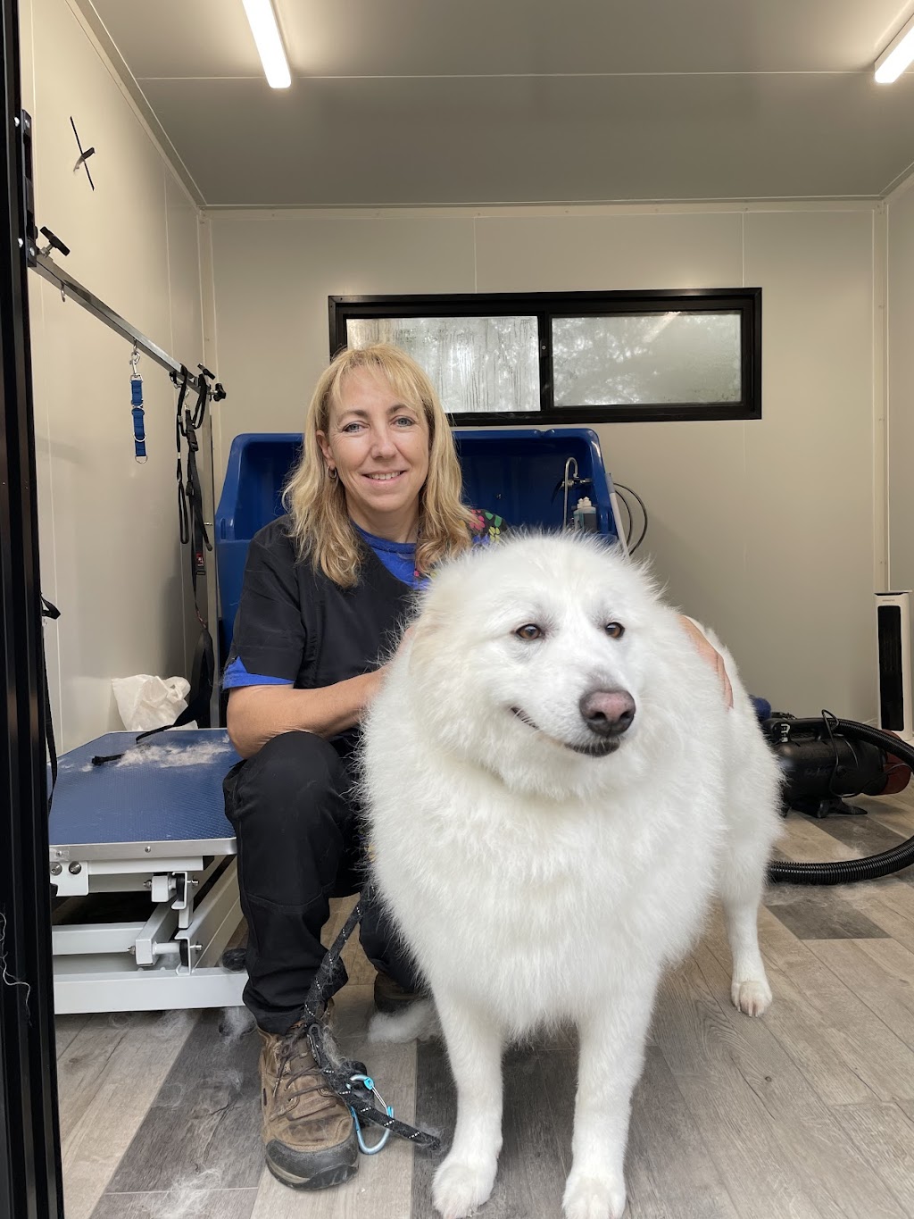 Alli’s Dog Grooming | 1039 Drouin-Korumburra Rd, Athlone VIC 3818, Australia | Phone: 0493 831 933