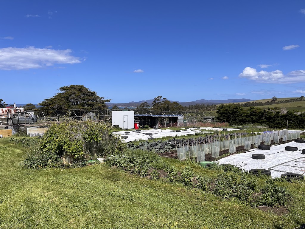 Bream Creek Community Market Garden Inc. | 247 Burnt Hill Rd, Bream Creek TAS 7175, Australia | Phone: 0459 304 141
