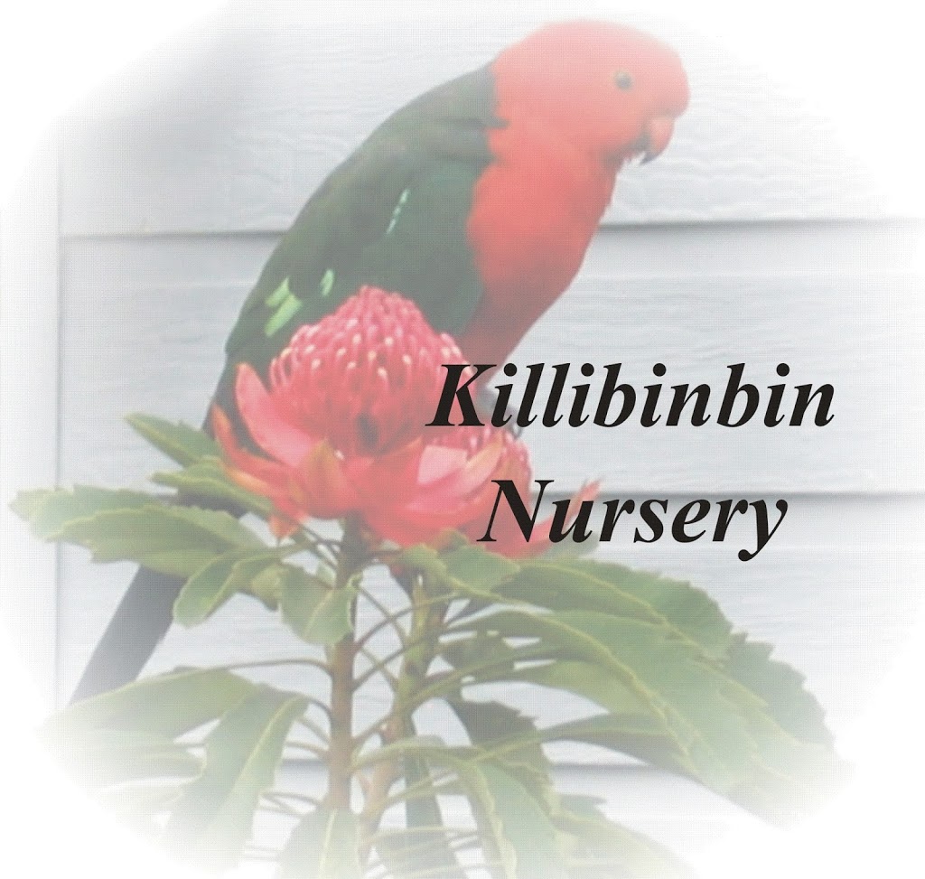 Killibinbin Nursery | 283 Chifley Rd, Dargan NSW 2786, Australia | Phone: 0428 305 120