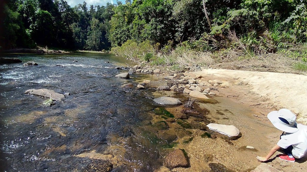 South Johnstone Camp Ground | Unnamed Rd, Gulngai, Walter Lever Estate QLD 4856, Australia