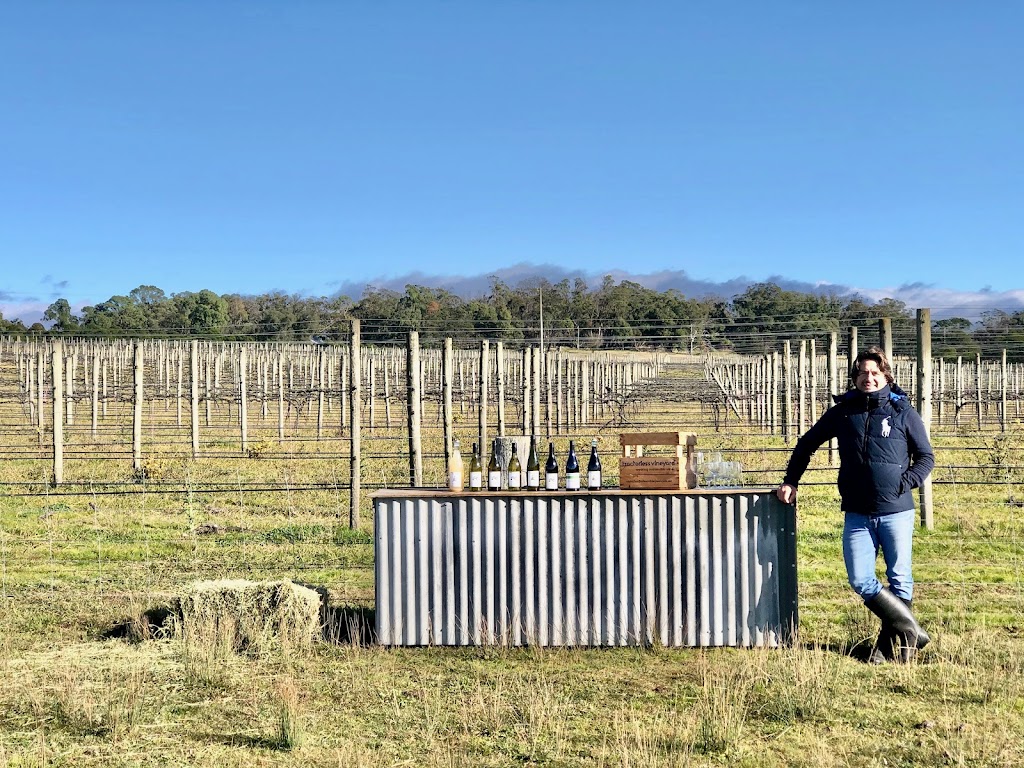 Tractorless Vineyard | 132 Compton Park Rd, Berrima NSW 2577, Australia | Phone: 0402 217 907