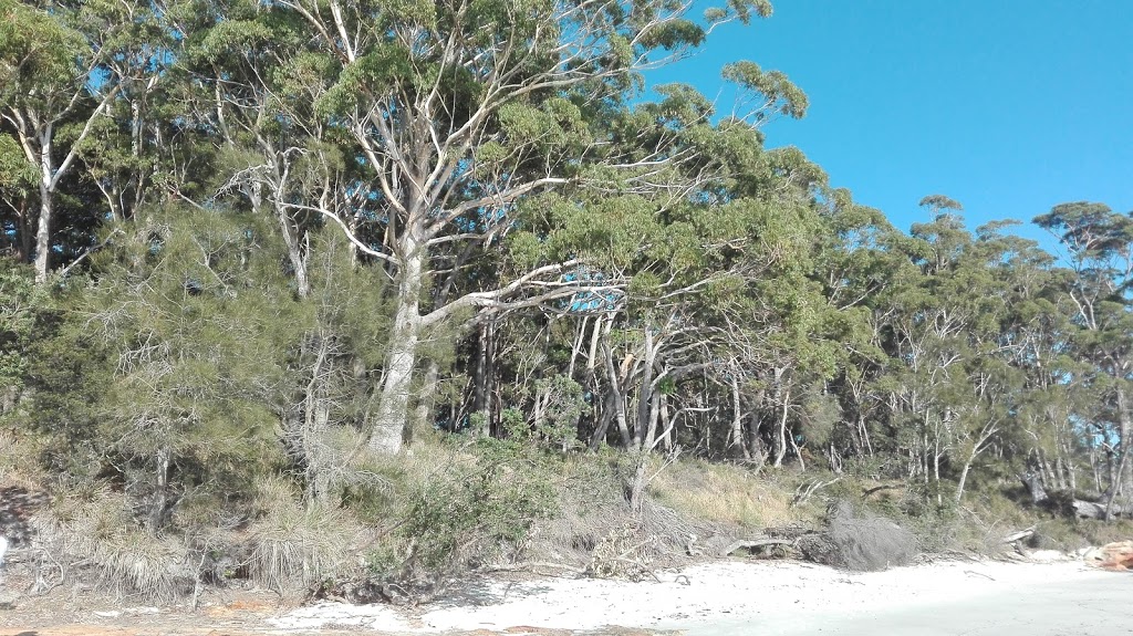 Bristol Point Camping Ground | campground | Jervis Bay Rd, Jervis Bay Territory NSW 2540, Australia