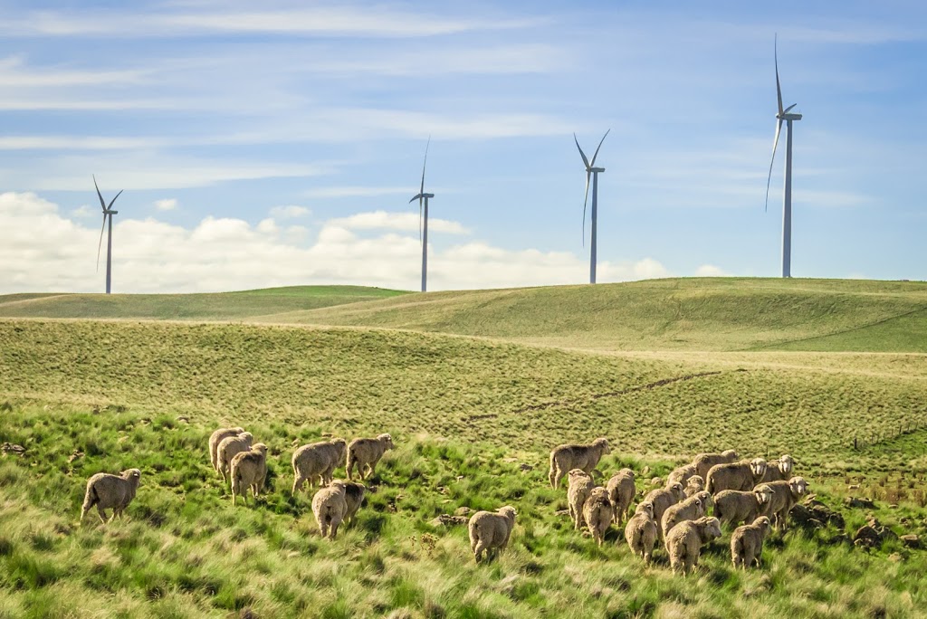 Boco Rock Wind Farm | Avon Lake Rd, Springfield NSW 2630, Australia | Phone: (02) 6449 2005