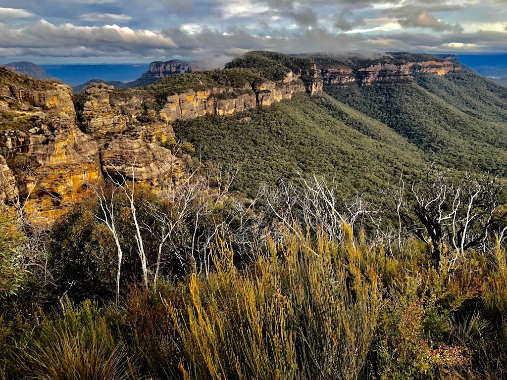 Blue Mountains 4WD | 23 Pauline Ave, Wentworth Falls NSW 2782, Australia | Phone: 0414 405 974