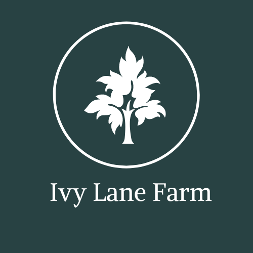 Ivy Lane Farm |  | 19 Ivy Ln, Knockrow NSW 2479, Australia | 0411255721 OR +61 411 255 721