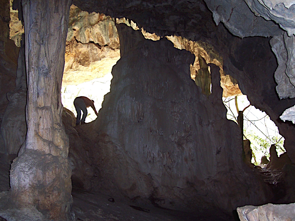 Colong Cave | park | Blue Mountains National Park South NSW 2570, Australia
