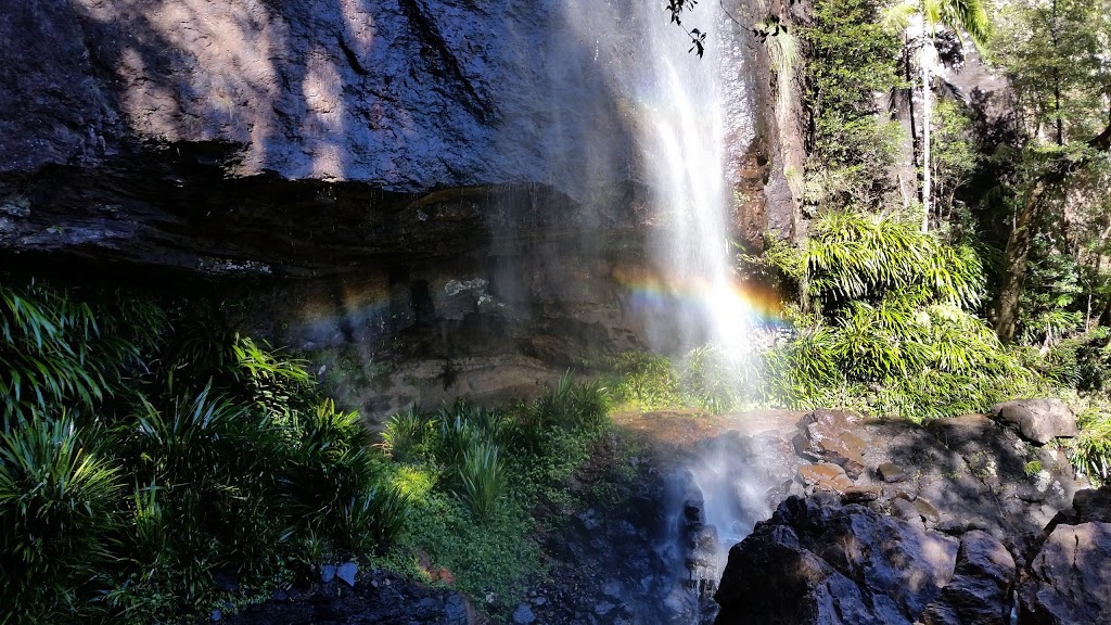 Rainbow Falls | Springbrook QLD 4213, Australia