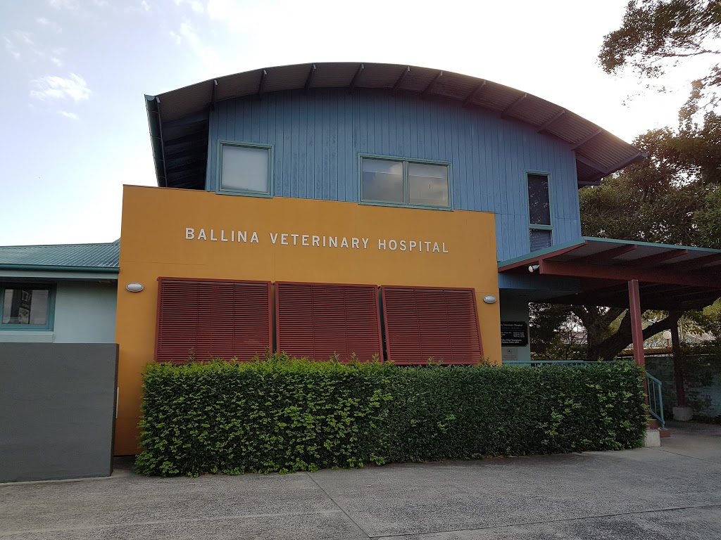 Ballina Veterinary Hospital | 14 River St, Ballina NSW 2478, Australia | Phone: (02) 6686 4889