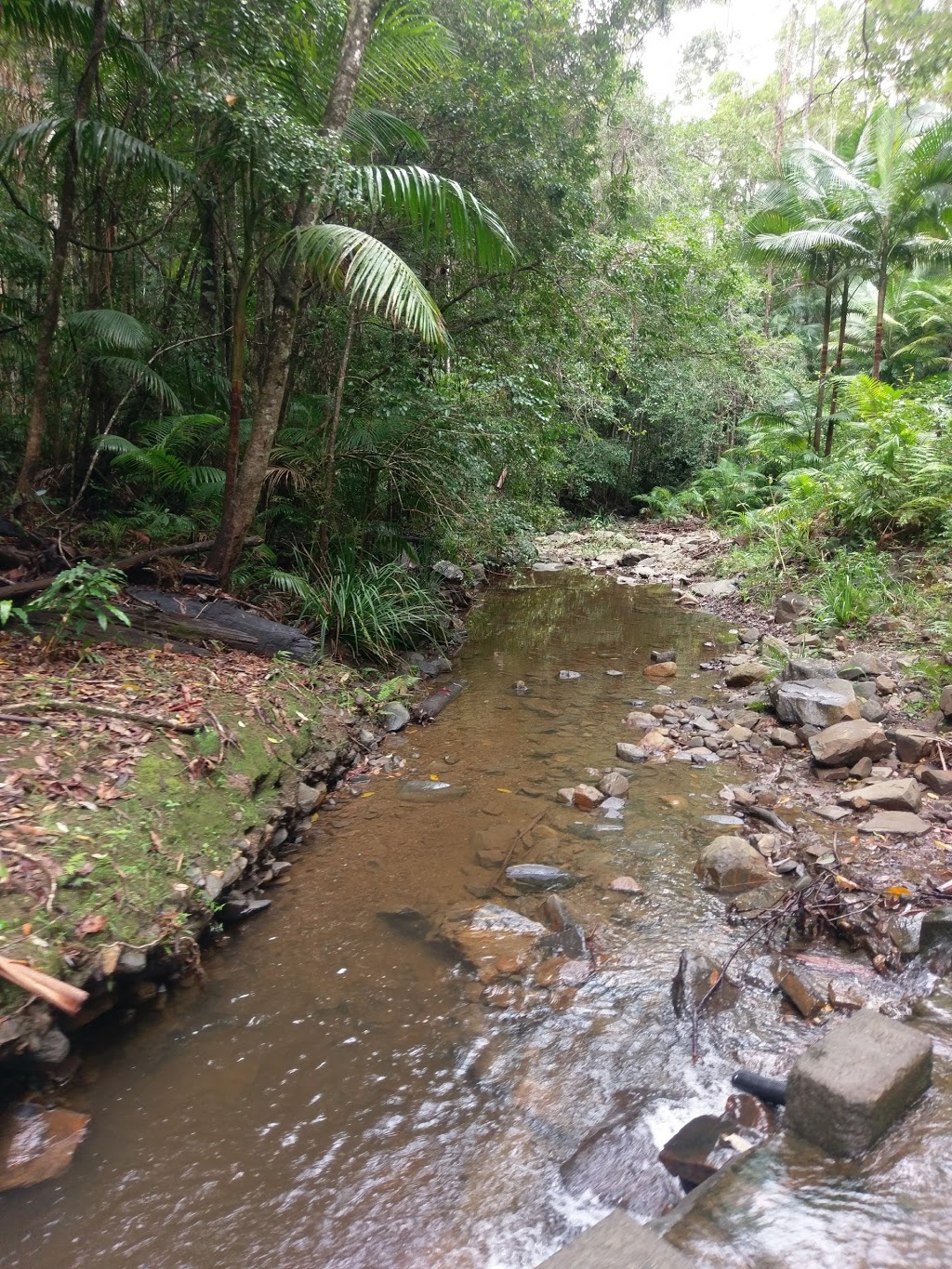 Yarriabini National Park | park | Way Way NSW 2447, Australia | 0266520900 OR +61 2 6652 0900