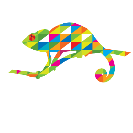 Chameleon Group | store | 2c/123 Bargara Rd, Bundaberg East QLD 4670, Australia | 0741520999 OR +61 7 4152 0999