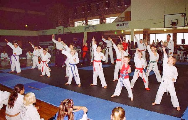 Northern Lakes Martial Arts Centre | 52 Tenth Ave, Budgewoi NSW 2262, Australia | Phone: (02) 4399 1006