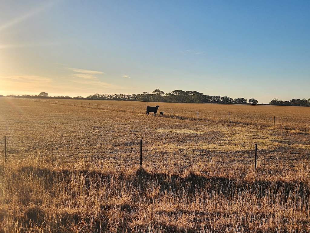 Riverbend | 100 Nelsons Rd, Cressy VIC 3322, Australia | Phone: 0466 005 590