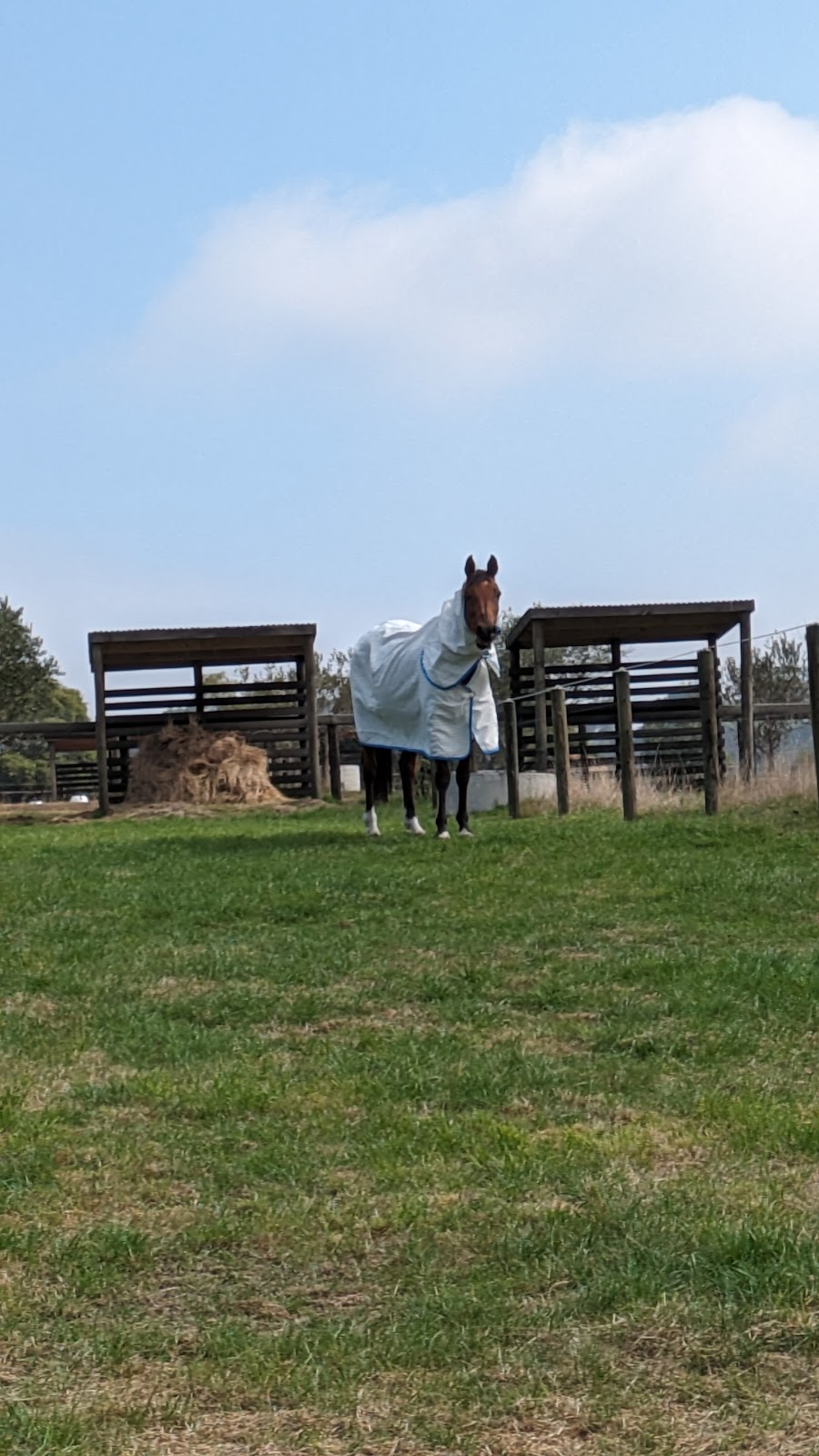 Briara Park Equestrian Centre | 235 Old Moorooduc Rd, Tuerong VIC 3915, Australia | Phone: 0493 966 522