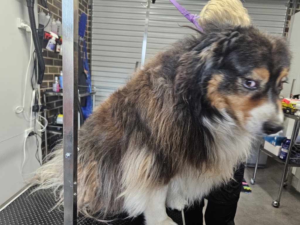 Pooch Pamper Grooming | 515 Wallan Rd, Whittlesea VIC 3757, Australia | Phone: 0432 328 644