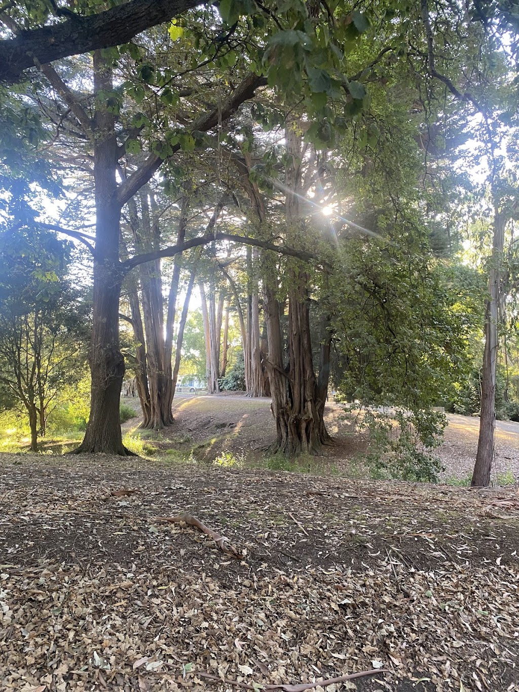 Korumburra Caravan Park | 56 Bourke St, Korumburra VIC 3950, Australia | Phone: (03) 5655 2326