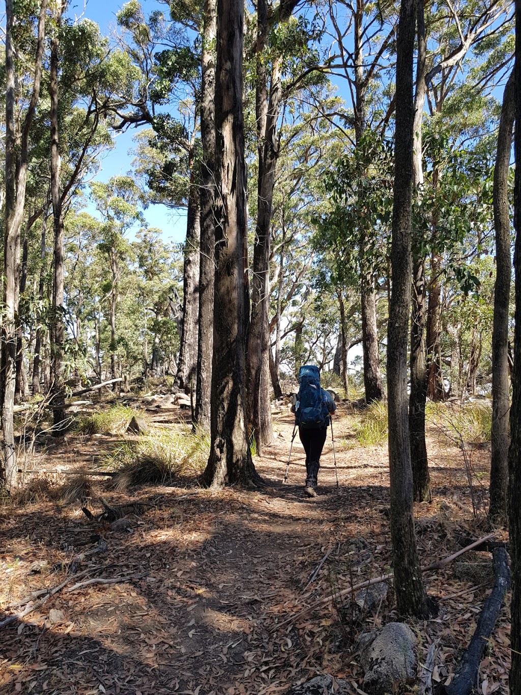 Beeripmo Campsite | campground | Beeripmo Walk, Raglan VIC 3373, Australia