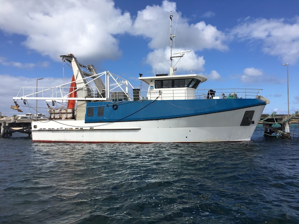 Venus Bay Prawns | food | 70 Flinders Hwy, Elliston SA 5670, Australia | 0427455471 OR +61 427 455 471