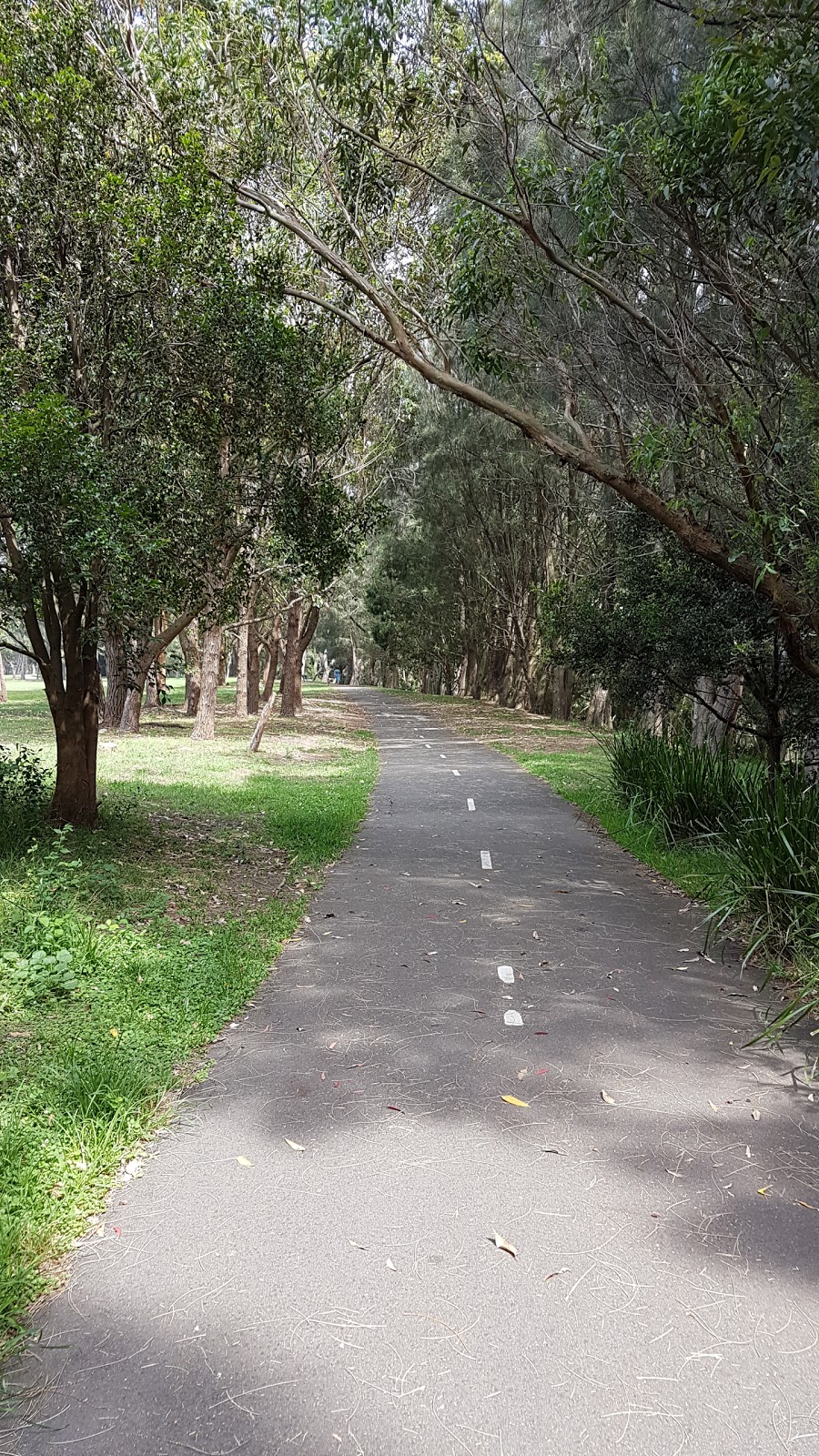 Stirgess Reserve (John Fisher Park) | park | 9 Stirgess Ave, Curl Curl NSW 2096, Australia | 0299422111 OR +61 2 9942 2111