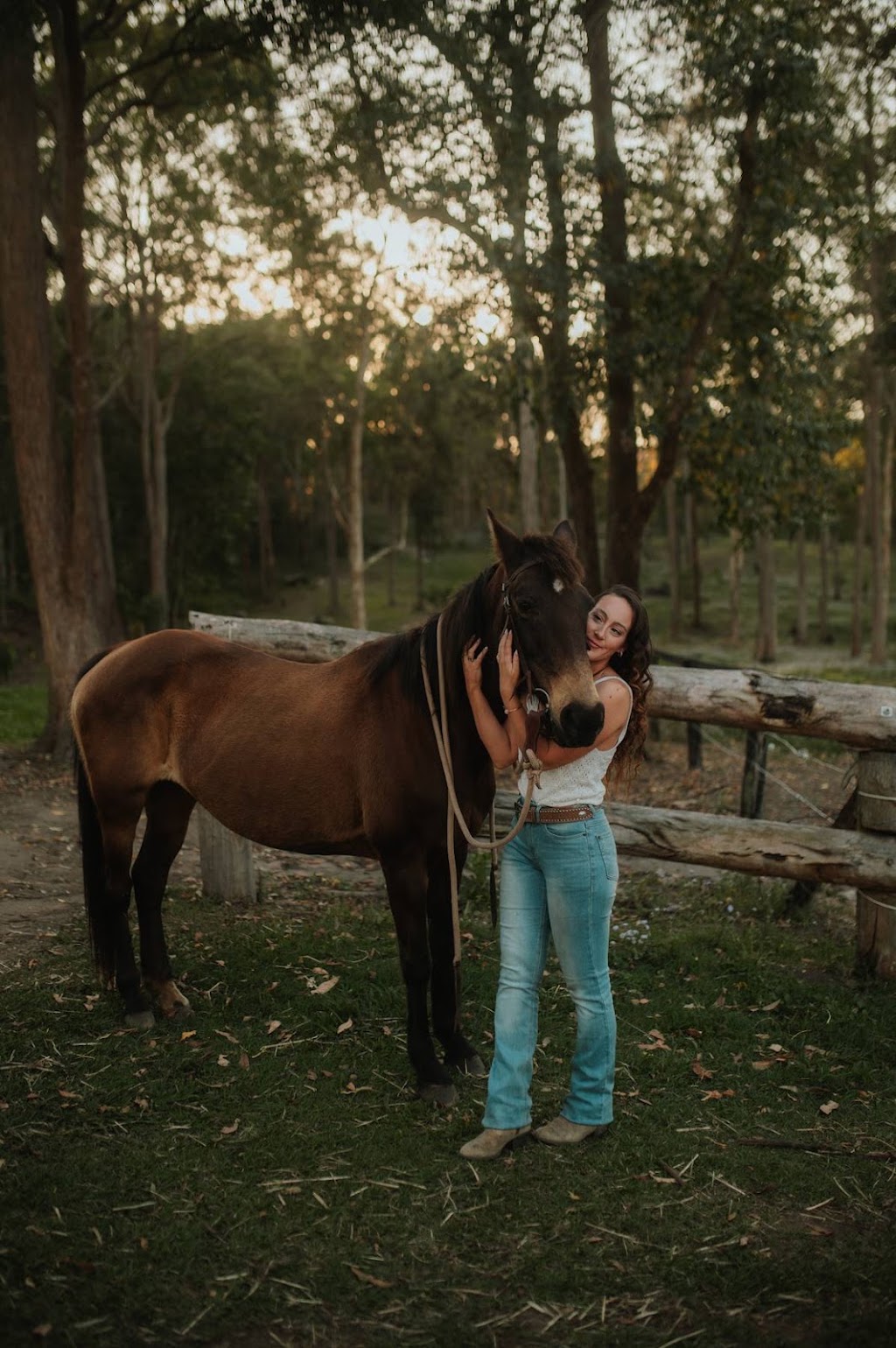 Dezigna Lodge Horsemanship | 1 Nonmus Rd, Stanmore QLD 4514, Australia | Phone: 0429 337 716
