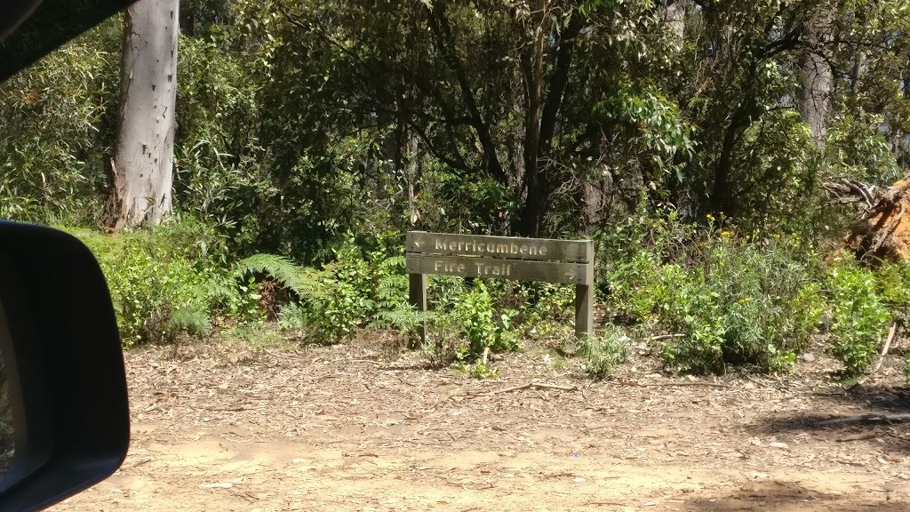 Bendethera Camping Area | campground | Deua National Park, Dampier Mountain Firetrail, Deua NSW 2537, Australia | 0244760800 OR +61 2 4476 0800