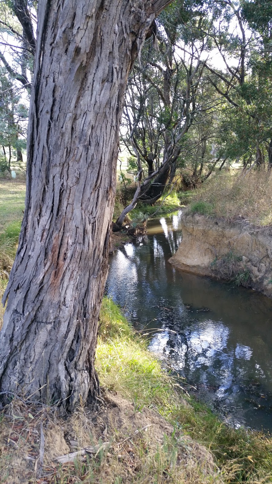 Five Mile Creek Reserve | park | Woodend VIC 3442, Australia