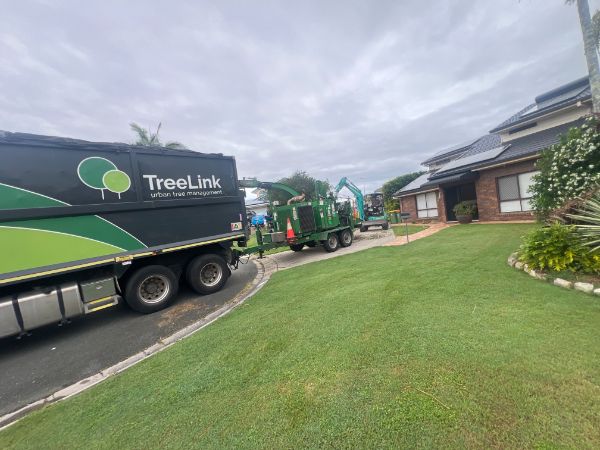 TreeLink Northern Rivers | 48 Orana Rd, Ocean Shores NSW 2483, Australia | Phone: 0499 550 396