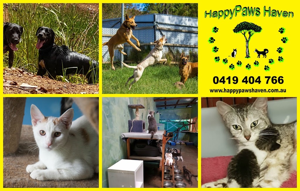 Happy Paws Haven Inc |  | 140 Tindal Rd, Eatonsville NSW 2460, Australia | 0419404766 OR +61 419 404 766