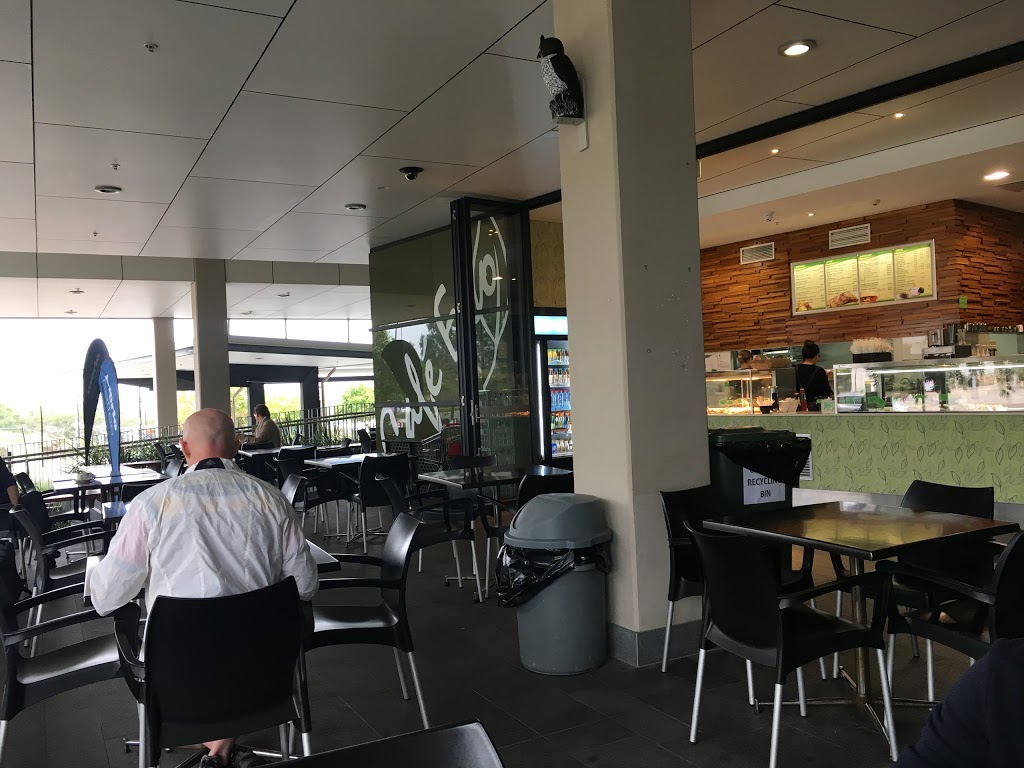 Café Eco | 41 Boggo Rd, Dutton Park QLD 4102, Australia | Phone: (07) 3846 7664