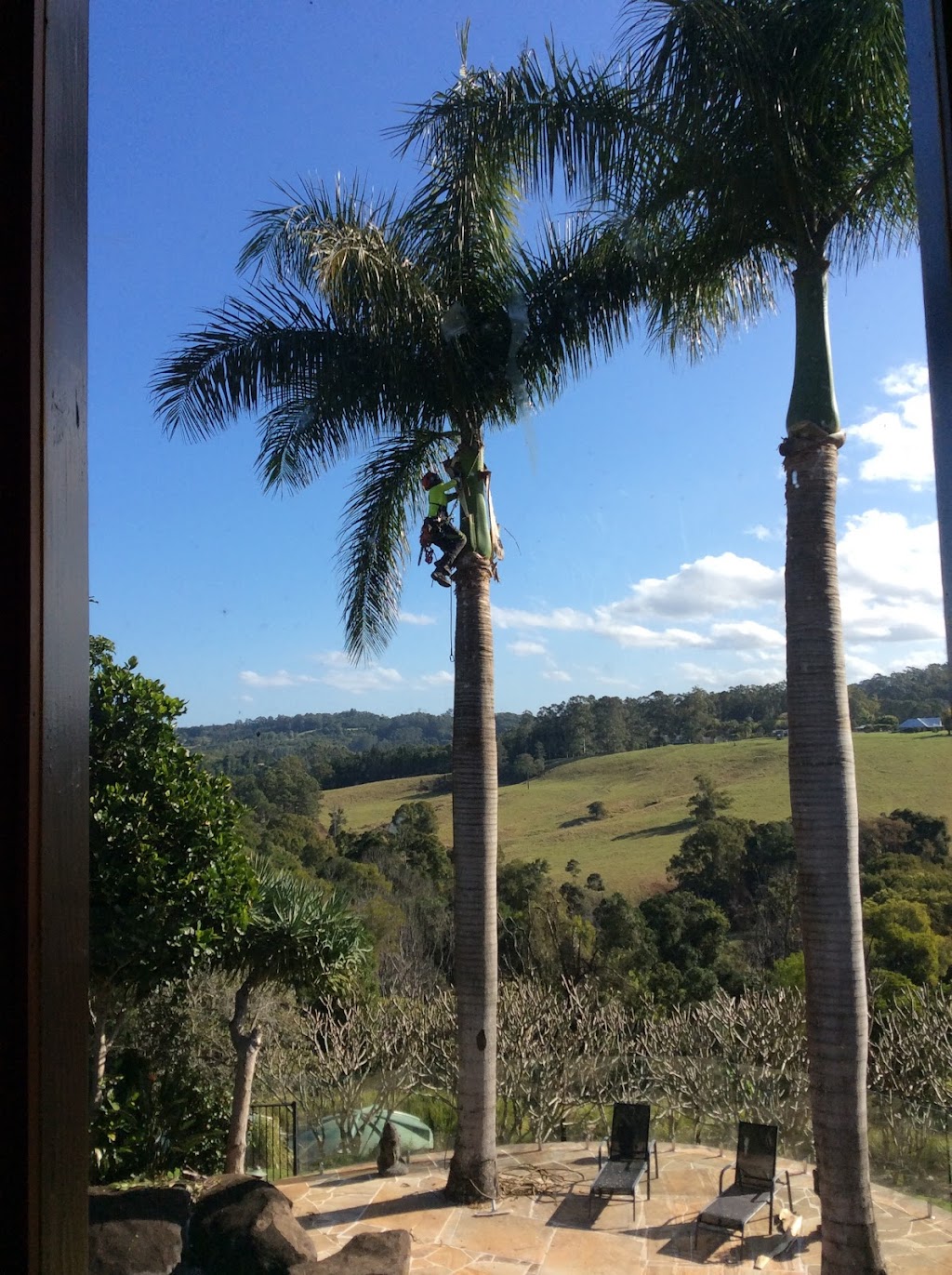 James Godfrey Arborist Far South Coast | 65 Jellat Way, Kalaru NSW 2550, Australia | Phone: 0490 874 272