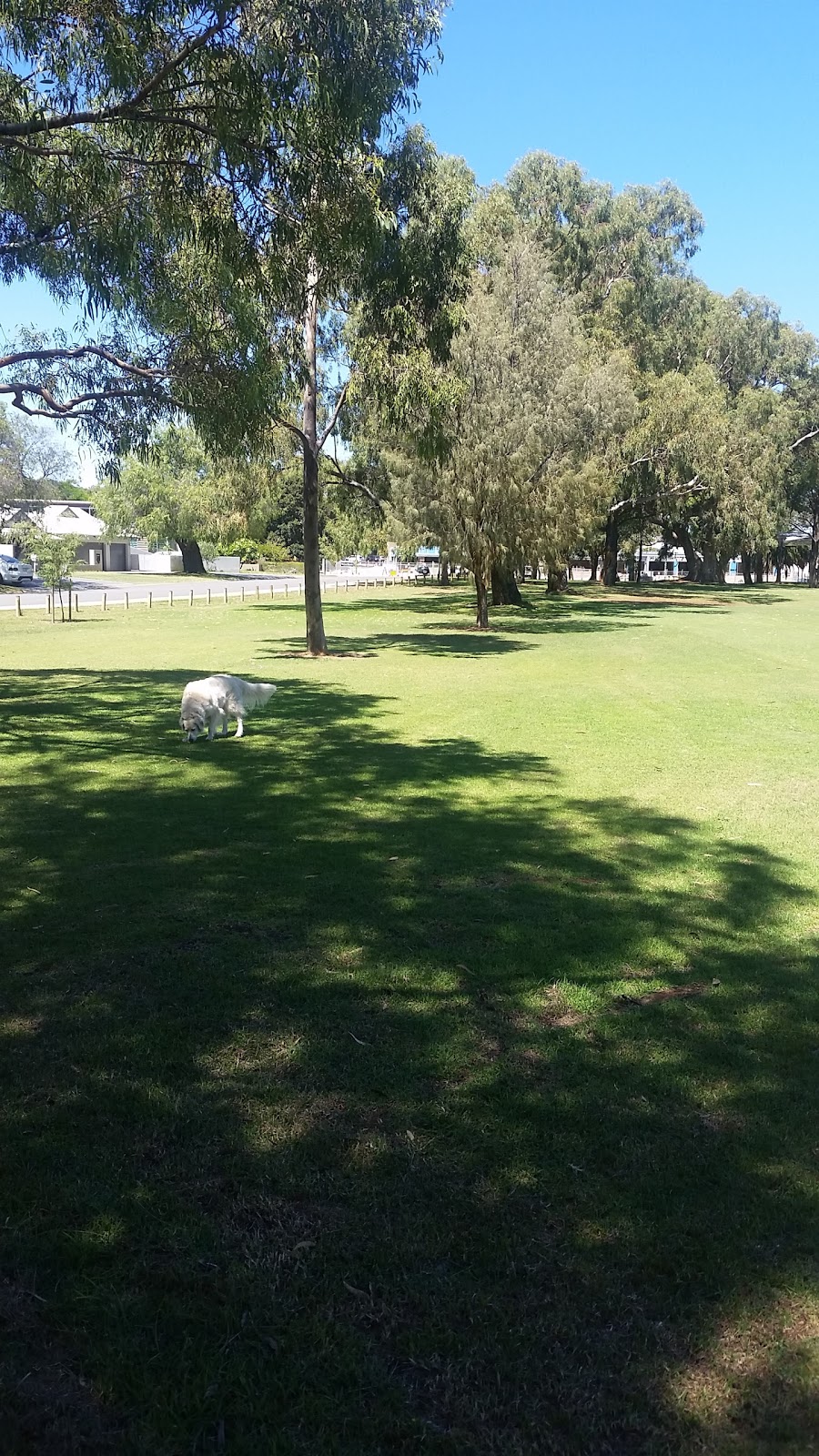 Beecroft Park | City Beach WA 6015, Australia