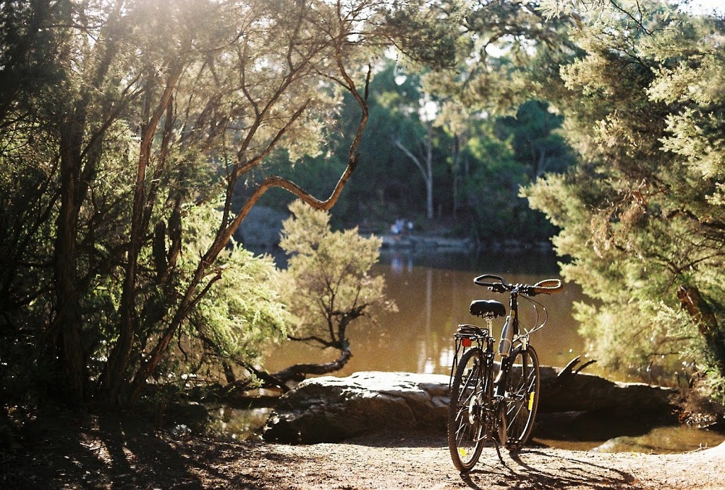 Blackburn Lake - Boardwalk | park | Blackburn VIC 3130, Australia